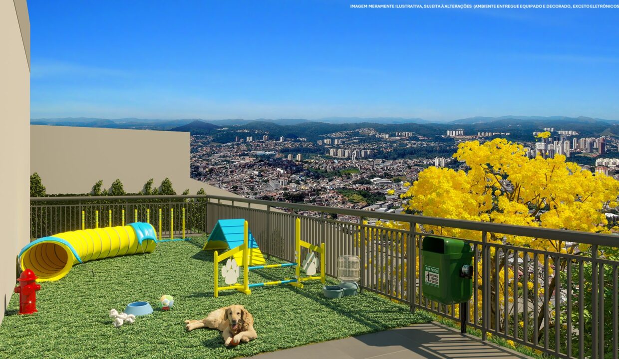 PET PLACE