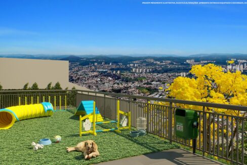 PET PLACE
